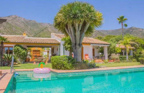 Finca Lechuza - Photo 39