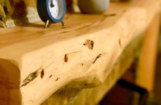 Νύμφες Σαλέ Καλλιστώ - Foto 4