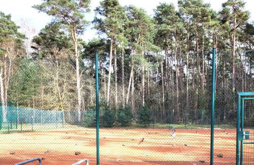 Rügenblick - Foto 18