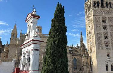 Cathedral and Mateos Gagos - Foto 42