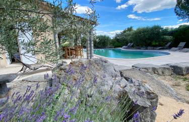 Maison pour 12p, piscine à débordement chauffée d'avril à octobre inclus - Foto 48