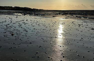 Modern two bedroom townhouse in Worthing - Foto 6