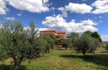 Ktima Anastasia - Foto 68