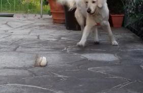 Residence Ables - Foto 22