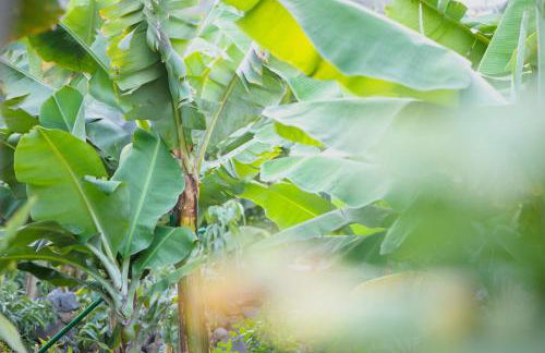 Suites Los Telares - Adults Recommended - Foto 57