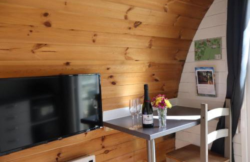 Ash Cabin with Hot Tub - Foto 15