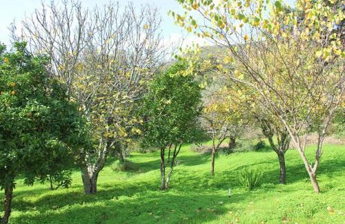 La Ermita by SIERRA VIVA - Foto 8