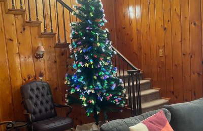 Cozy Waterfront Cottage - Foto 10