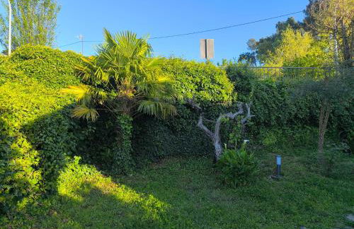 Cabañas Miraduero - Foto 9