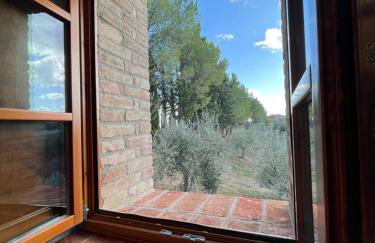 LA COLLINA DEI SAPORI Montepulciano - Photo 46