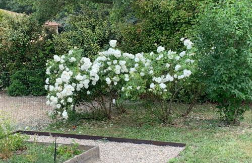 La Luberonne gordes - Photo 37