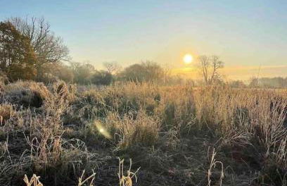 Linden Suite - Foto 24