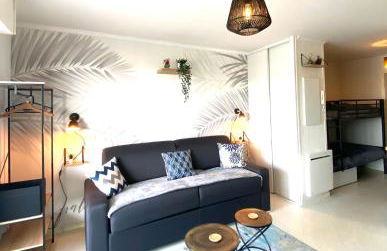 Studio DUNES de NALA avec balcon vue Dunes et latérale Mer pour 4 pers 100m plage wifi ménage compris - Foto 6