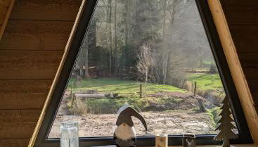 Le petit Sabotier - Foto 4