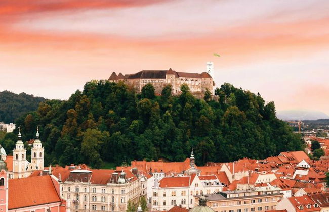 Visite Privée d'une Journée à Ljubljana au Départ de Portorož/Piran - Photo 3