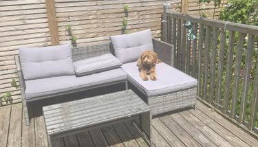 Terry's Cove - Dogs welcome - Foto 5