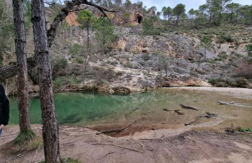 Cortijo de las cañadas - Foto 30
