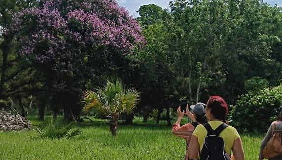 Day Trip to Cienfuegos Botanical Garden - Foto 2