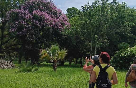 Excursão ao Jardim Botânico de Cienfuegos - Foto 2