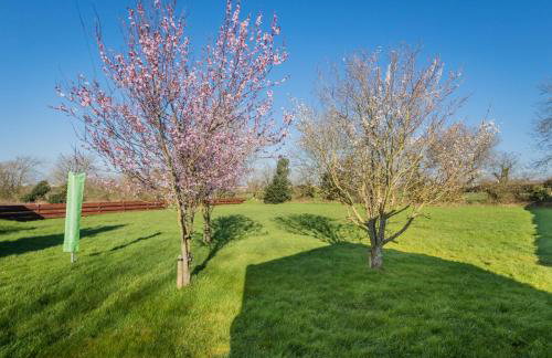 Big White House - Foto 23