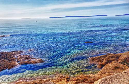 le verger des naiades - Foto 19