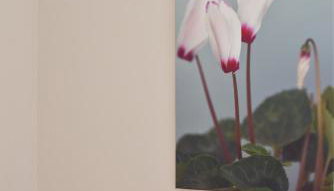Cyclamen Apartments - Foto 4