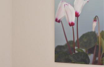 Cyclamen Apartments - Foto 4