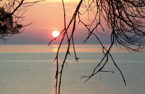 Villa Feia - Photo 26