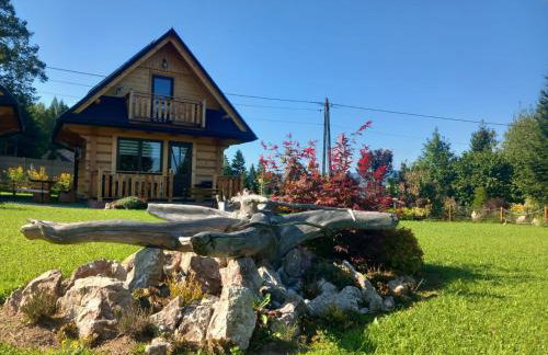 Domki Zielone Skałki - Foto 7