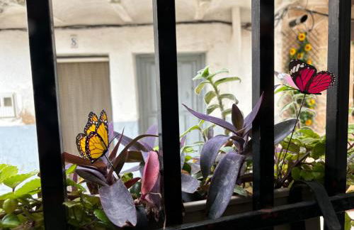 Casa Árbol - Foto 58