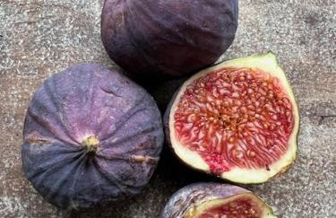 Thalia Bloom Villa Apartments - Foto 17