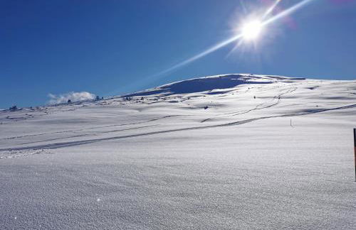 Haus Gläserer apartments - Foto 30