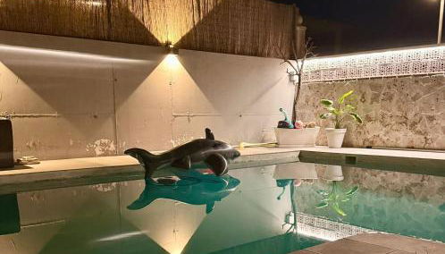 Villavillanos - Foto 4