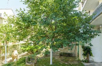 An Edens Garden Near The Sea - Pansion Youli - Foto 8