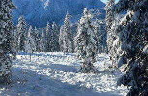 Appartamento Elena - Photo 15