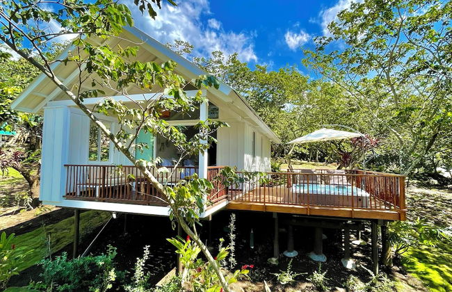 Finca San Cayetano - Photo 76