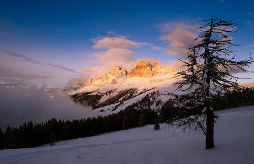 Apartment Obkircher - Foto 36