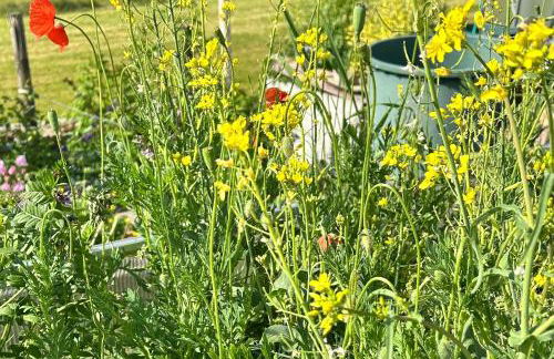 Natur Atempause Schwarzwald - Foto 21