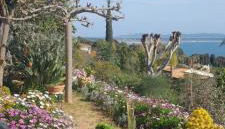 F3 RDC villa vue mer 180 face à la pointe de Giens - Foto 4