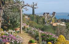 F3 RDC villa vue mer 180 face à la pointe de Giens - Foto 4