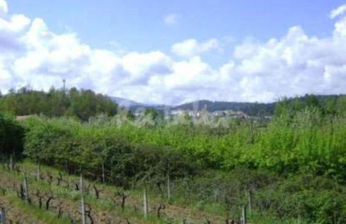 Casa Rustica - Foto 15