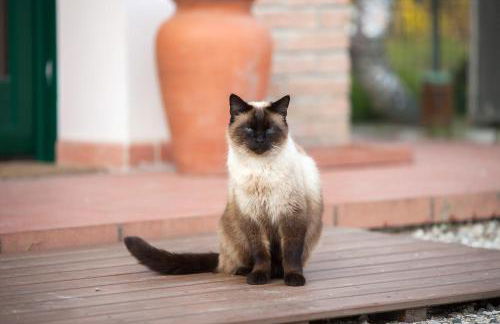 Settecentoalberi Agriturismo - Foto 51