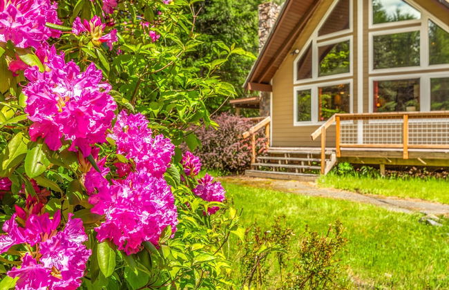Cottonwood Chalet in Packwood - Foto 1