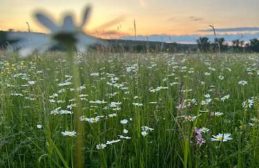 Lovely room in a 18th century manor - Foto 31