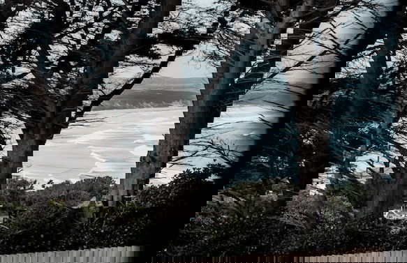 Swell At Cape Bridgewater - Foto 22