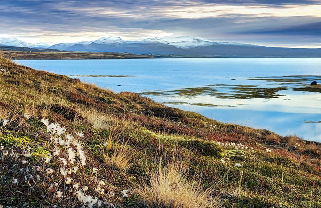 Mystic Light Lodge - Foto 28