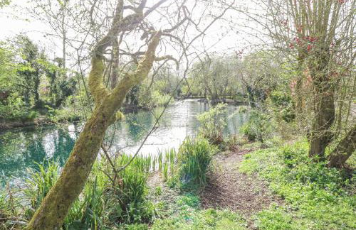 Damsel Shepherds Hut - Foto 19