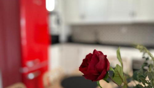 AdEva Céntrico 3 Habitaciones - Foto 5