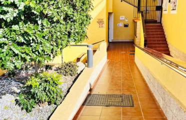 Magnolia apartment - Foto 24