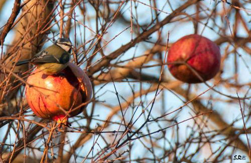 Apartamento Turístico La Ribera - Photo 19